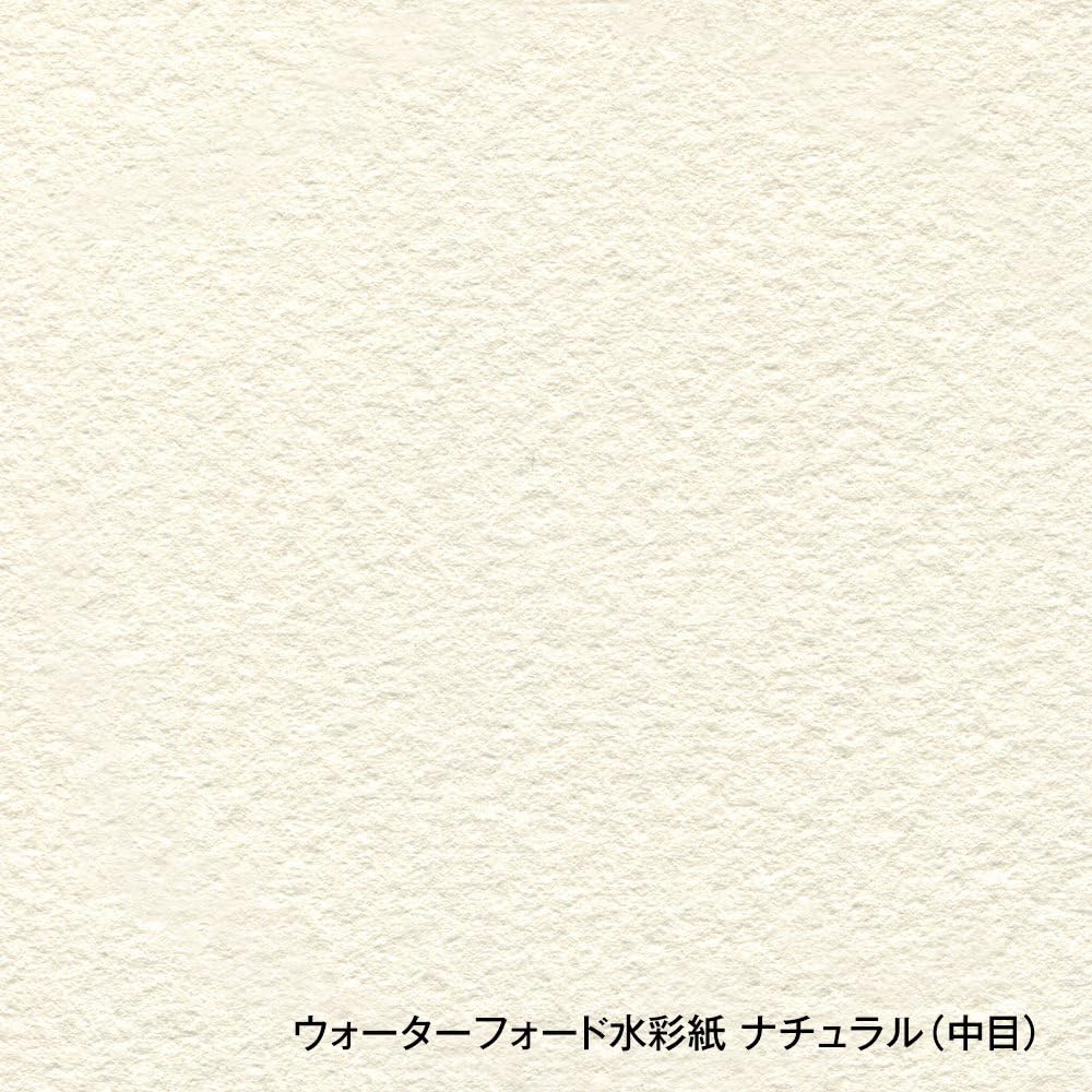 Amazon.co.jp: ホルベイン ウォーターフォード水彩紙 ナチュラル 