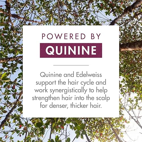 Miniatura 4 de Klorane Champú fortalecedor con quinina y Edelweiss para cabello fino, soporta cabello más grueso, fuerte y saludable, para hombres y mujeres, sin