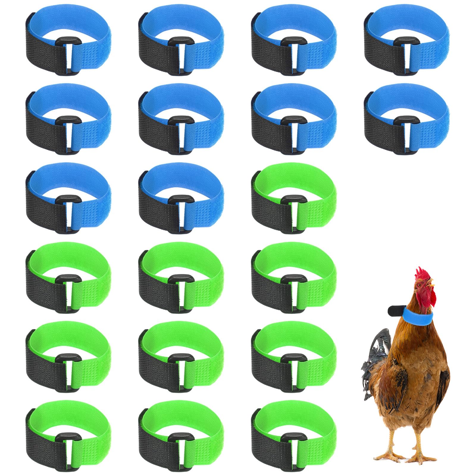 M METERXITY 20-Pack Rooster Collars, 8.07" x 0.79" Adjustable Soft Polyester Anti-Noise Neck Belt for Chickens and Poultry Birds, Noise Control Collar [Blue/Green] — image 1