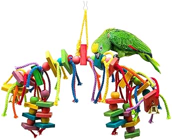 green cheek conure toys