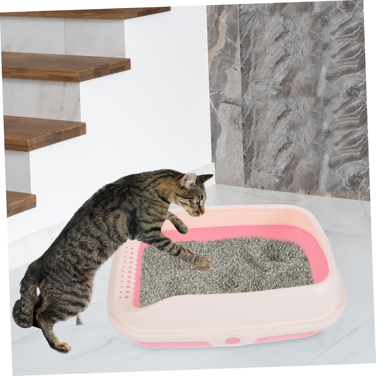 BESTonZON 1Set Semi Enclosed Cat Litter Box for Kittens Comfortable Design Safe Material Easy Litter Container with Scoop