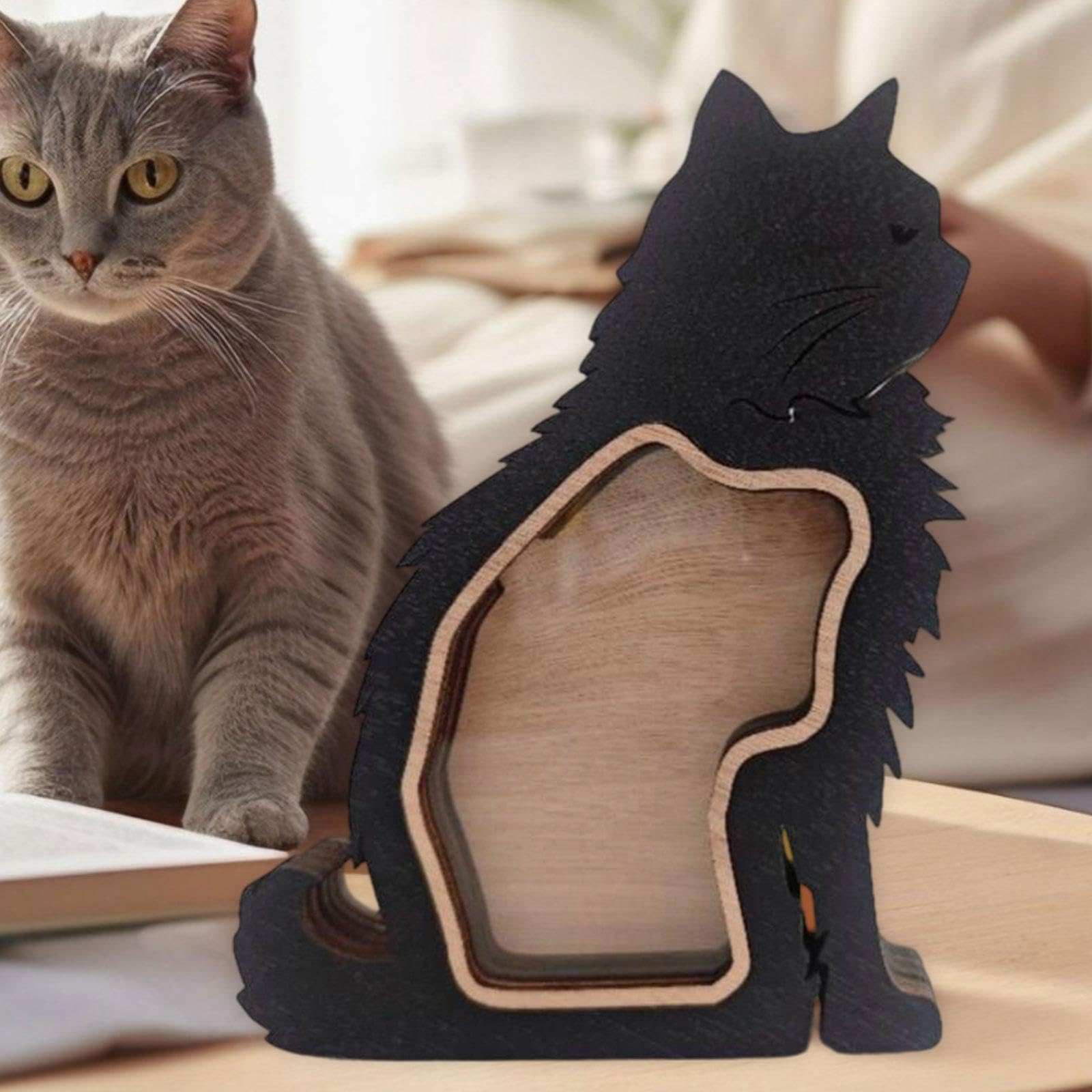 Harilla Caja de Recuerdo de Pelo de Gato, Contenedor, Regalo de Recuerdo para Amantes de, Decoración de Mesa, Caja Conmemorativa para Bigotes, Ceniz