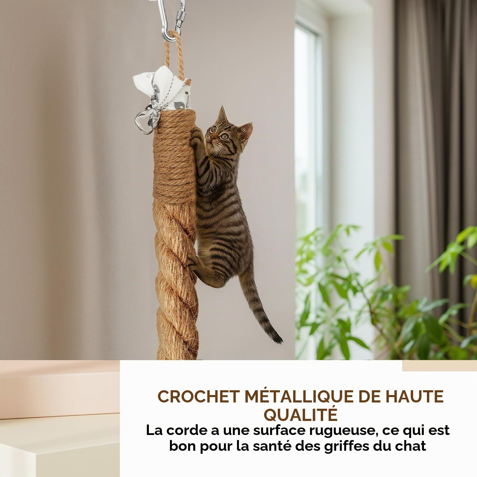 Weysat Corde d'escalade pour Chat avec Crochet - Fixation Murale - 5 cm x 2,7 m - pour intérieur et extérieur