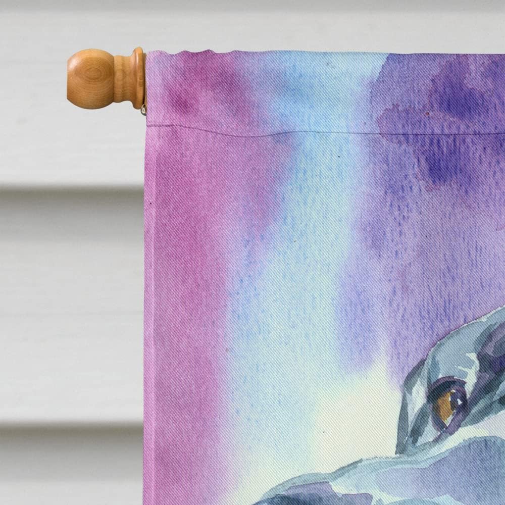 Caroline's Treasures 7308CHF Great Dane Blue Mood House Flag Large Porch Sleeve Pole Decorative Outside Yard Banner Artwork Wall Hanging, Polyester, House Size, Multicolor