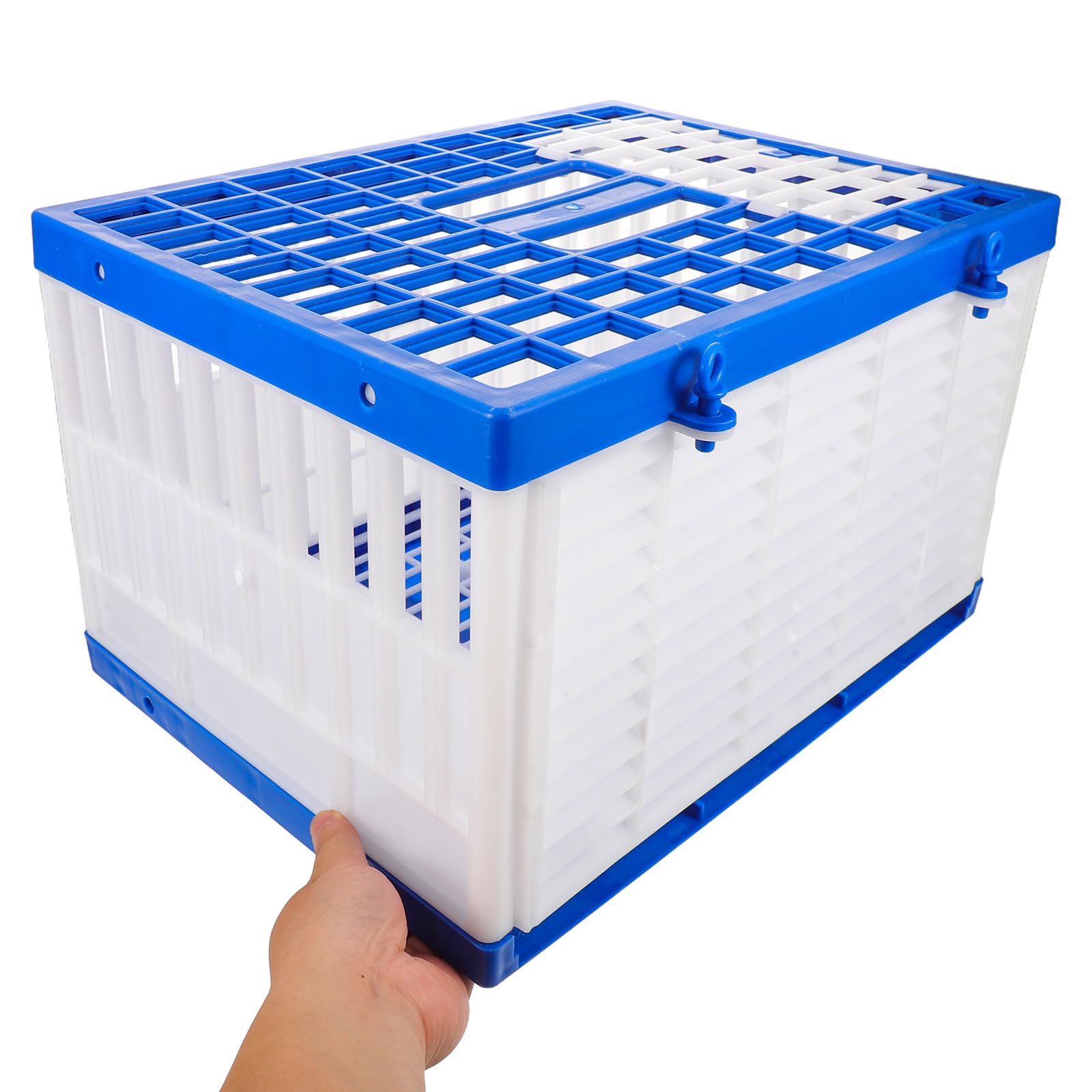 Toyvian Trasportino per Piccioni in Plastica Resistente per 4-6 Uccelli, Facile da Pulire e Riduce gli Infortuni, per Trasporto Quotidiano e Competizioni di Rilascio