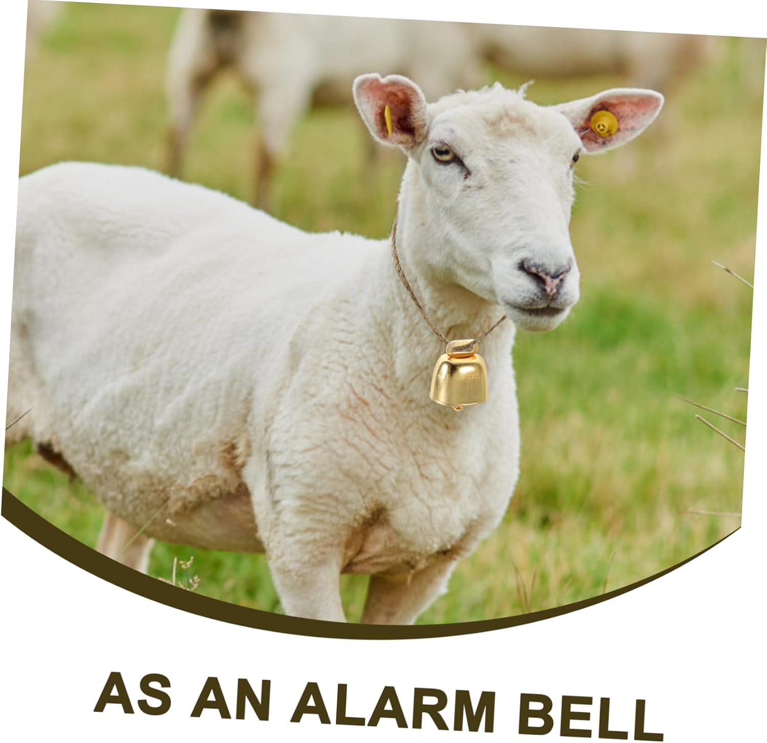 TEHAUX 15pcs Vintage Cattle Bells Loud Metal Bells for Sheep Goat Pet Hanging for Christmas Decor Crafts Crisp Sound