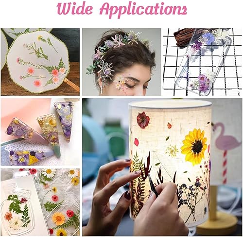 Miniatura 5 de Blaflo Más de 35 piezas de flores moradas para modelo de resina, flores prensadas reales, hojas secas a granel, kit de hierbas naturales para