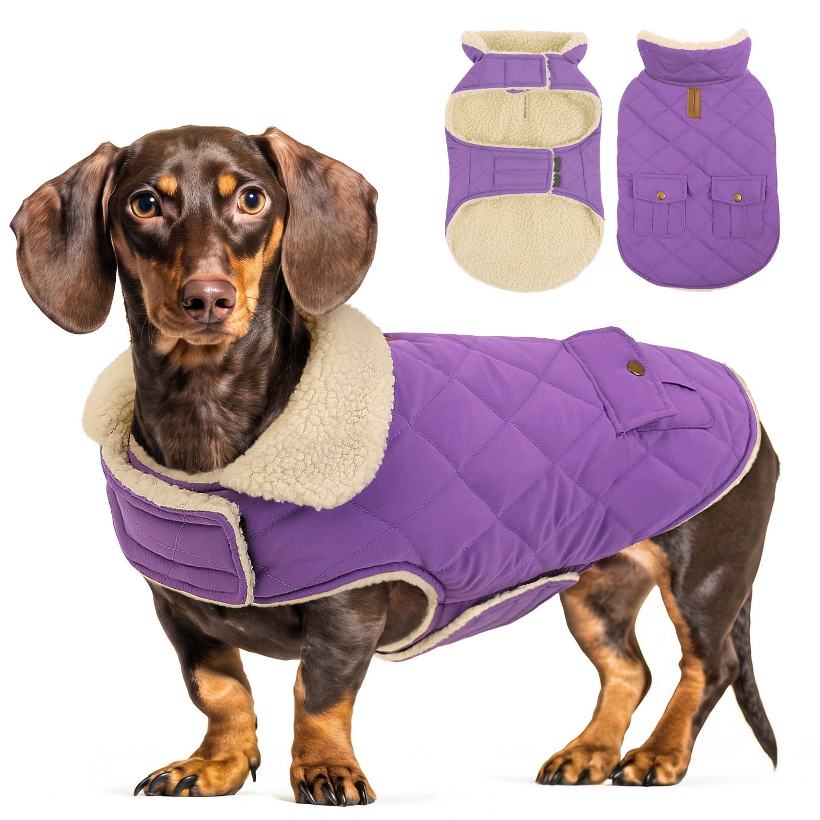 CITÉTOILE Dog Winter Coat Windproof Dog Jacket Darkpurple L