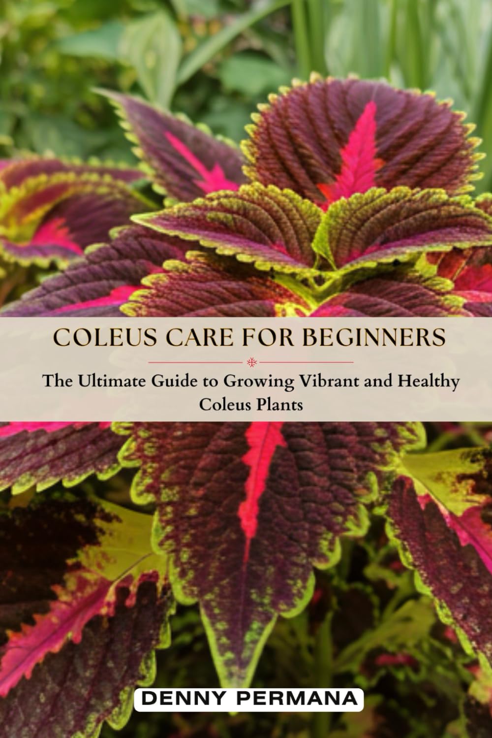 Coleus Care for Beginners: The Ultimate Guide to Growing Vibrant and Healthy Coleus Plants