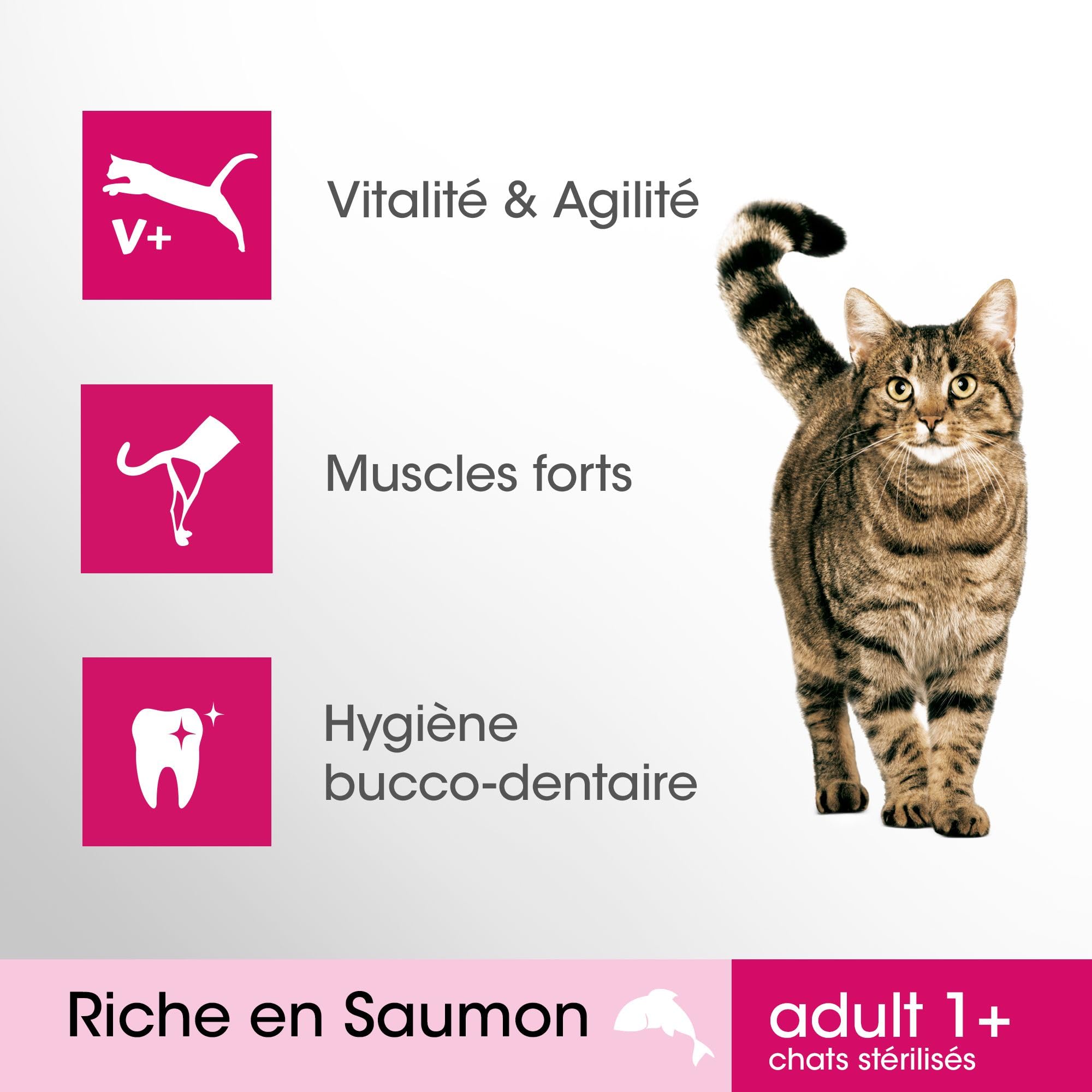 PERFECT FIT Croquettes pour Chat Adulte Stérilisé Riches en Saumon - Lot de 5 Sacs de 1,4kg - Nourriture Complète & Equilibrée, pour le Maintien de la Vitalité et de l'Agilité