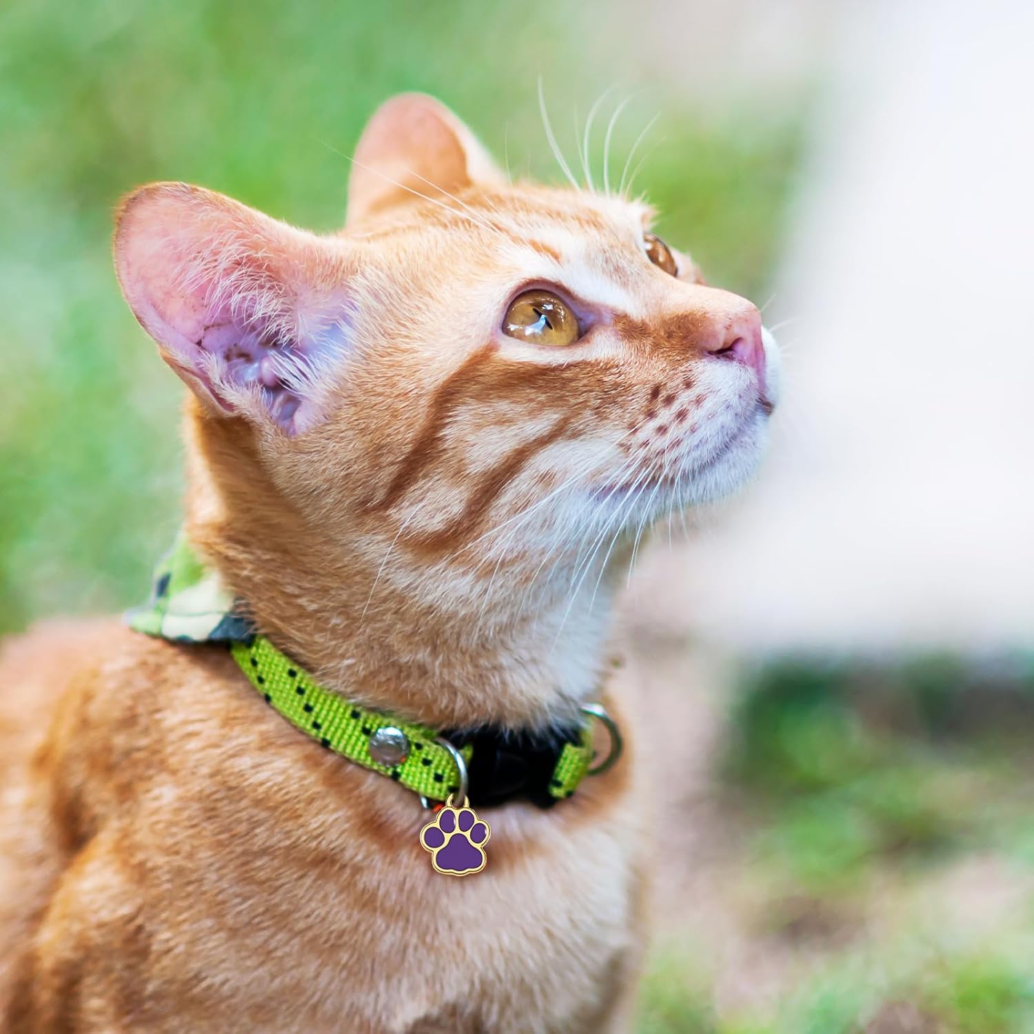 60Pcs 6Colors Dog Paw Footprint Charms, Alloy Gold Enamel Animal Footprint Pendants Metal Puppy Prints Charms for DIY Jewelry Making Necklace Bracelet - Image 5