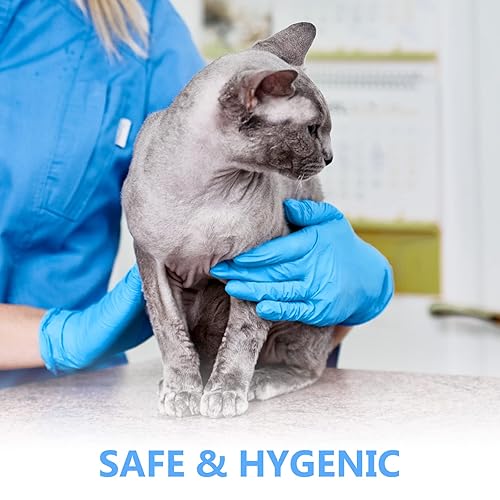 Miniatura 6 de squish Guantes desechables, guantes de vinilo azul sin látex, sin polvo, guantes de goma para la salud, para cocina, manipulación de alimentos, 200