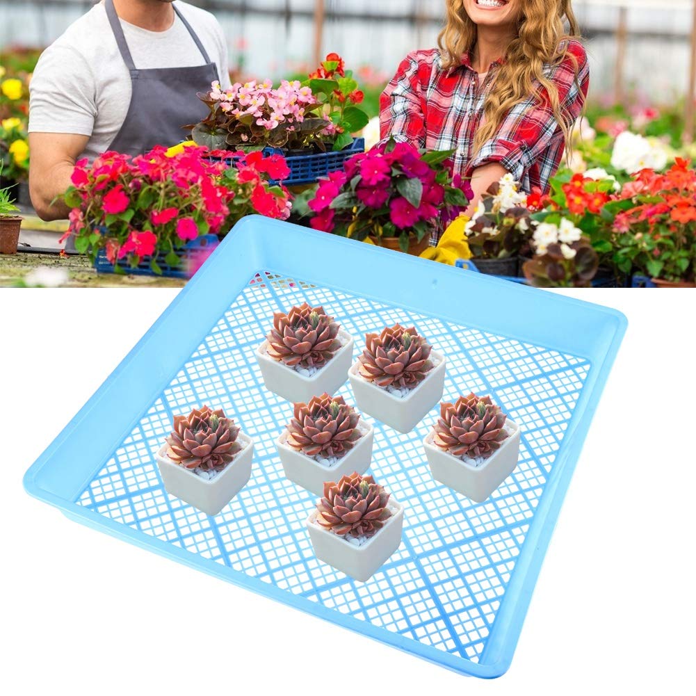 pour plateaux de semis de plantes, matériau PP de haute qualité, conception carrée à fond plat durable, excellent maillage de drainage, pour une utilisation à la maison