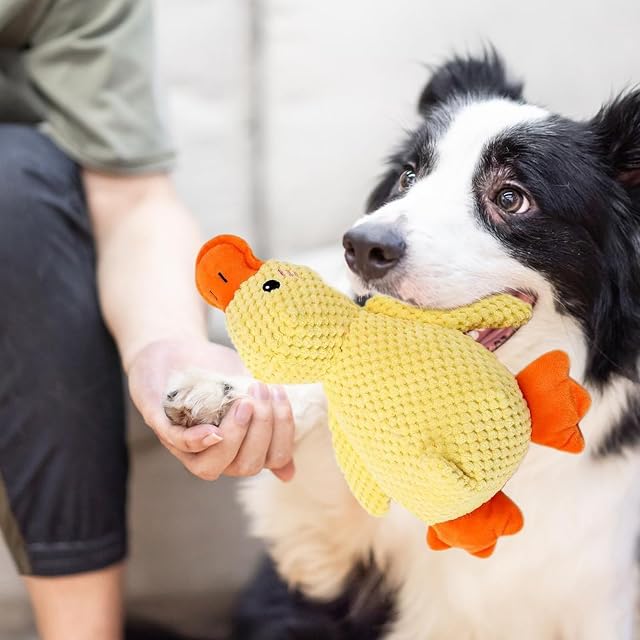 Foto 6 de 7 de LUYIEDHA Pato antiestrés para Perros, Juguete calmante para el aburrimiento de los Perros
