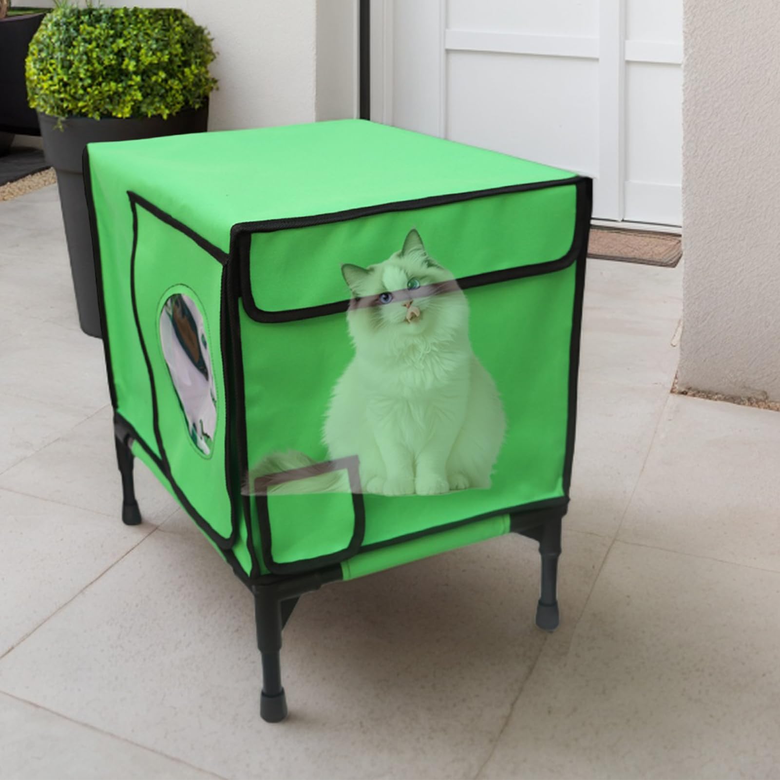 Wildes Katzenhaus für Winter, Außendoor Feral Cat House Isoliertes