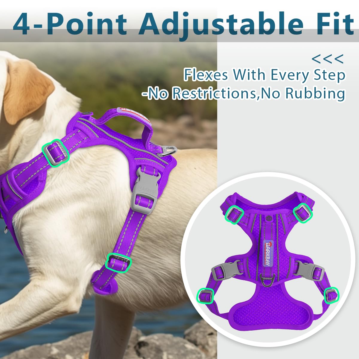 Amazon.com : BARKBAY Dog Harness No Pull with ID Tag Pocket