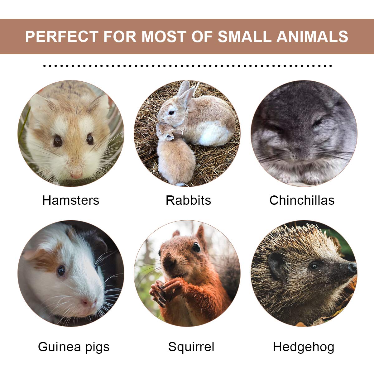 200g Mix Apple Sticks Hamster Rabbit Pet Chew Toys 3 Types of Combined