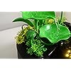 Product Photo 7