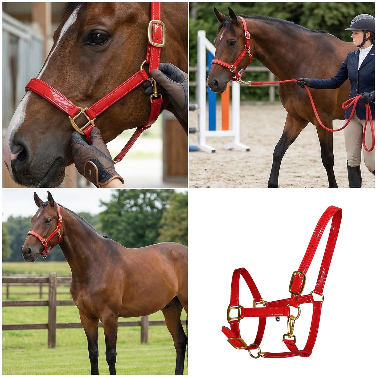 Caballo de cuero elegante de alta calidad con hebillas de aleación, impermeable y resistente al olor, para ecuestres, deportes, ecuestres, caballo, cabeza