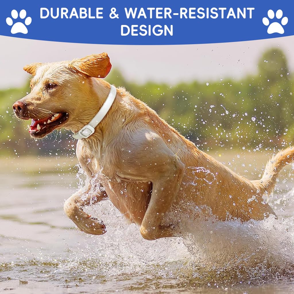 Qpets Flea and Tick Collar for Dogs Adjustable Waterproof Collar 38cm 3