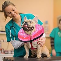 Vista 7 de Katoggy Collar Inflable de Cono para Perros Después de Cirugía, Collar E Suave y Ajustable Tipo Rosquilla Inflable para Perros Pequeños, Medianos