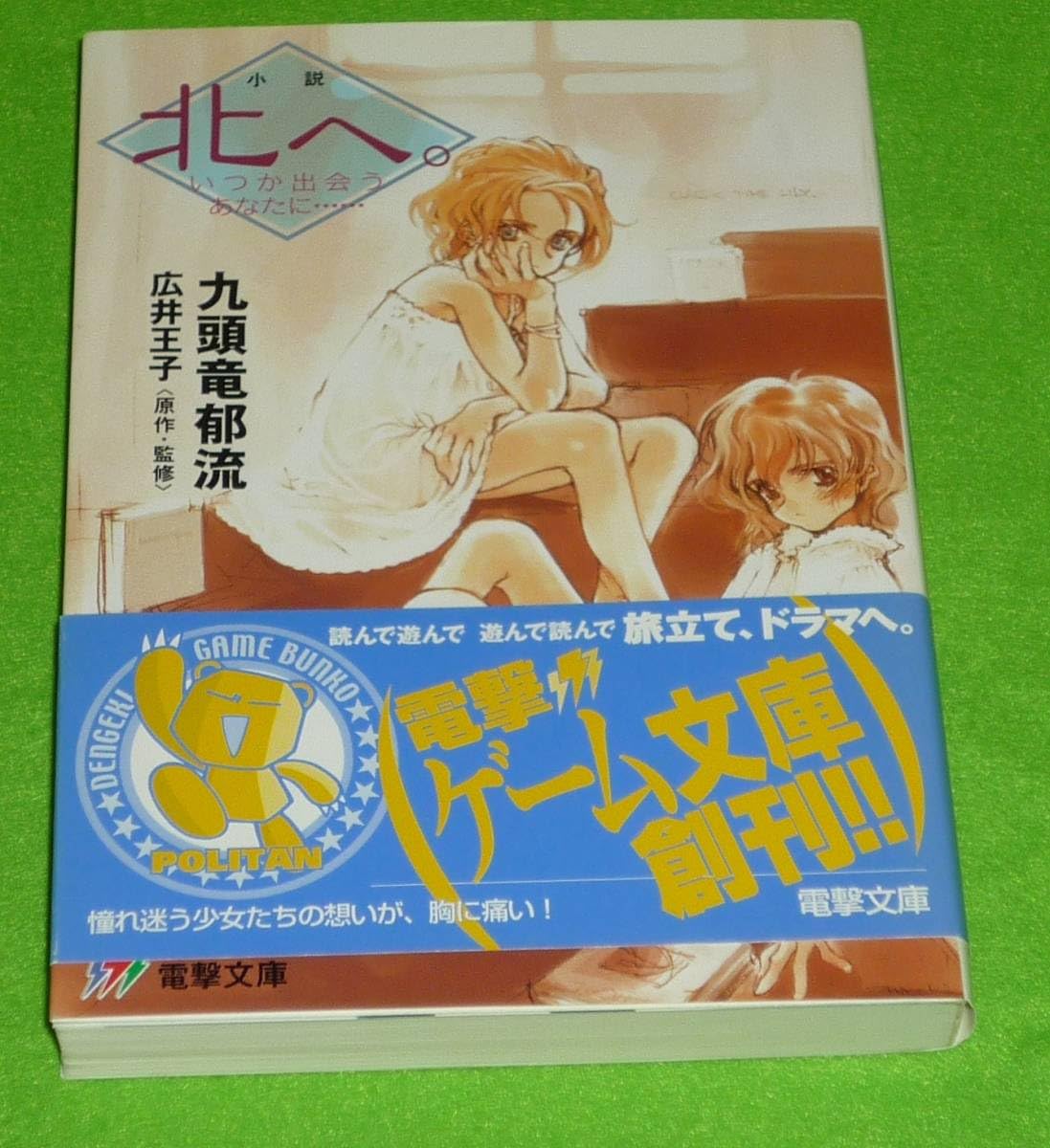 北へ。 いつか出会うあなたに…… 小説 Amazon.co.jp: 北へ: 小説 いつか出会うあなたに (電撃文庫 J 4