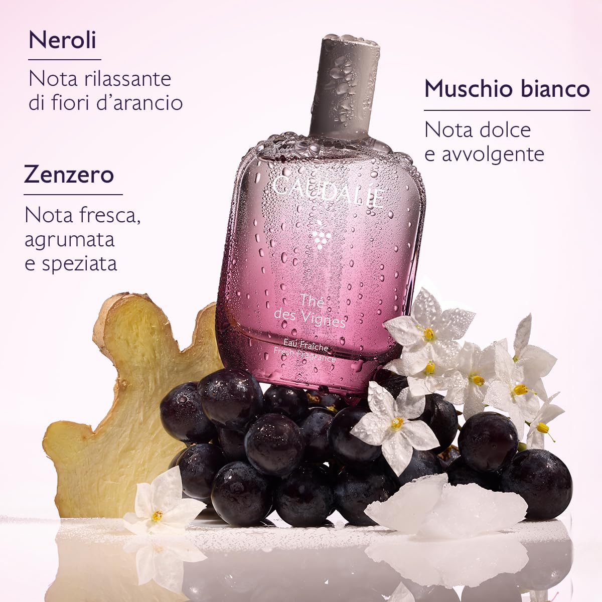 Caudalie Acqua Profumata Thé des Vignes – Fragranza Dolce e Sensuale, Note di Zenzero Neroli e Muschio Bianco, 92% Ingredienti di Origine Naturale, Senza Coloranti, Vegano, 50 mL