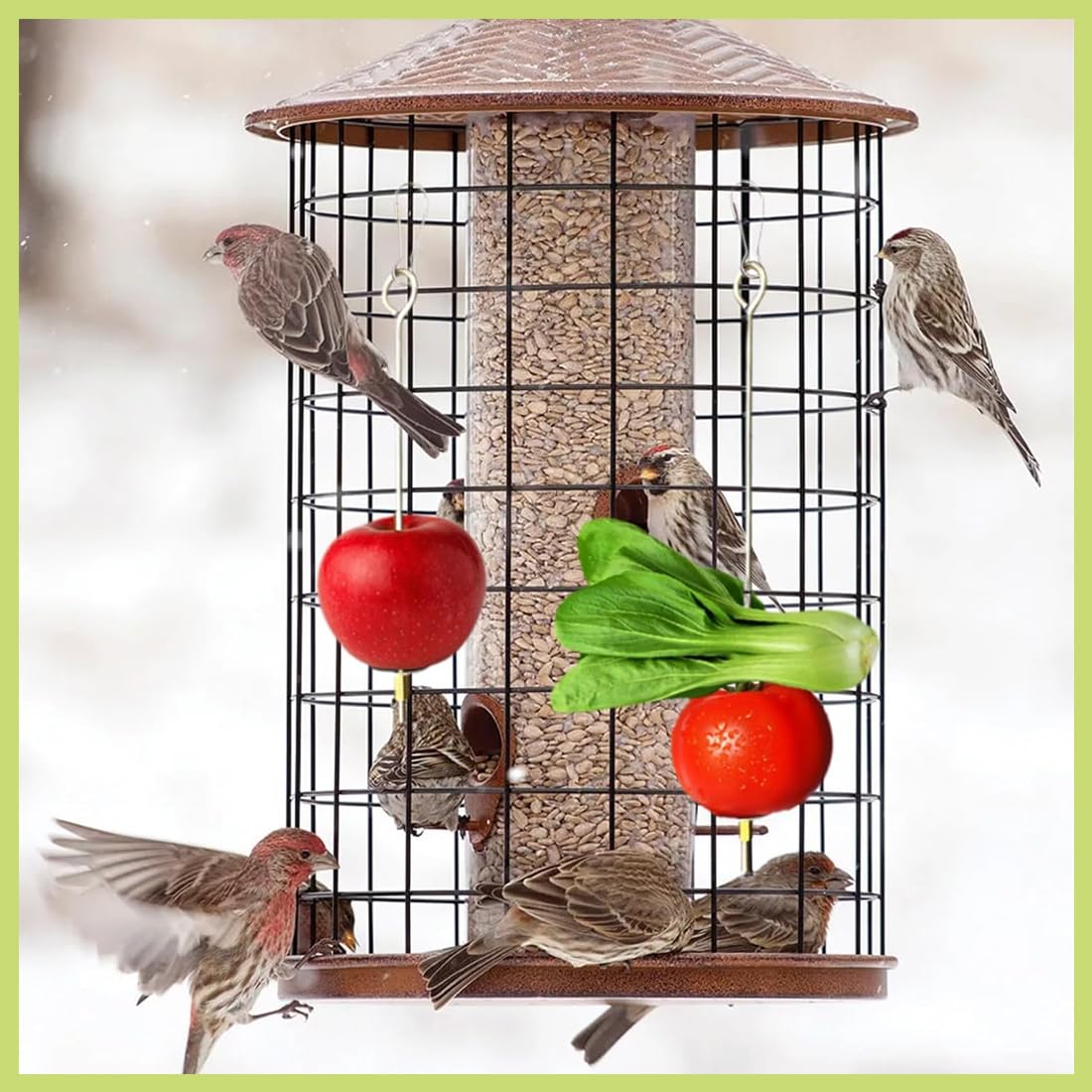 4 Pezzi Spiedino Portafrutta per Pappagalli, Mangiatoia per Pappagalli, Accessorio Appeso alla Gabbia per Foraggiamento del Cibo, Portafrutta per Uccelli, Giochi per Pappagalli, Acciaio Inox