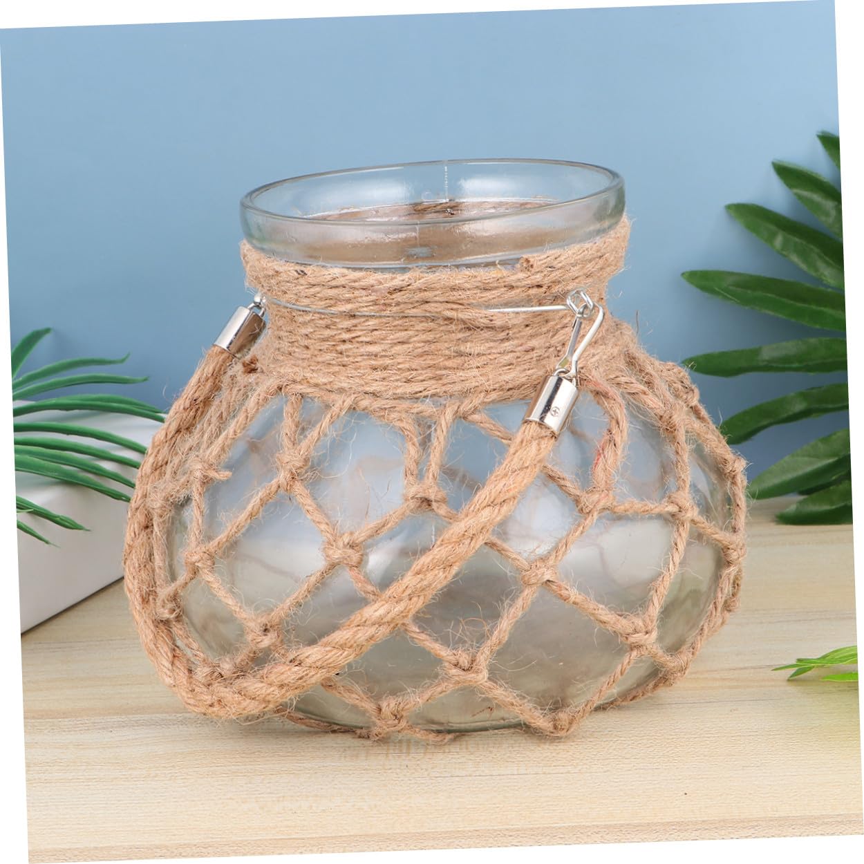 Vase en Verre à Corde Hydroponique Créatif pour Plantes Vertes