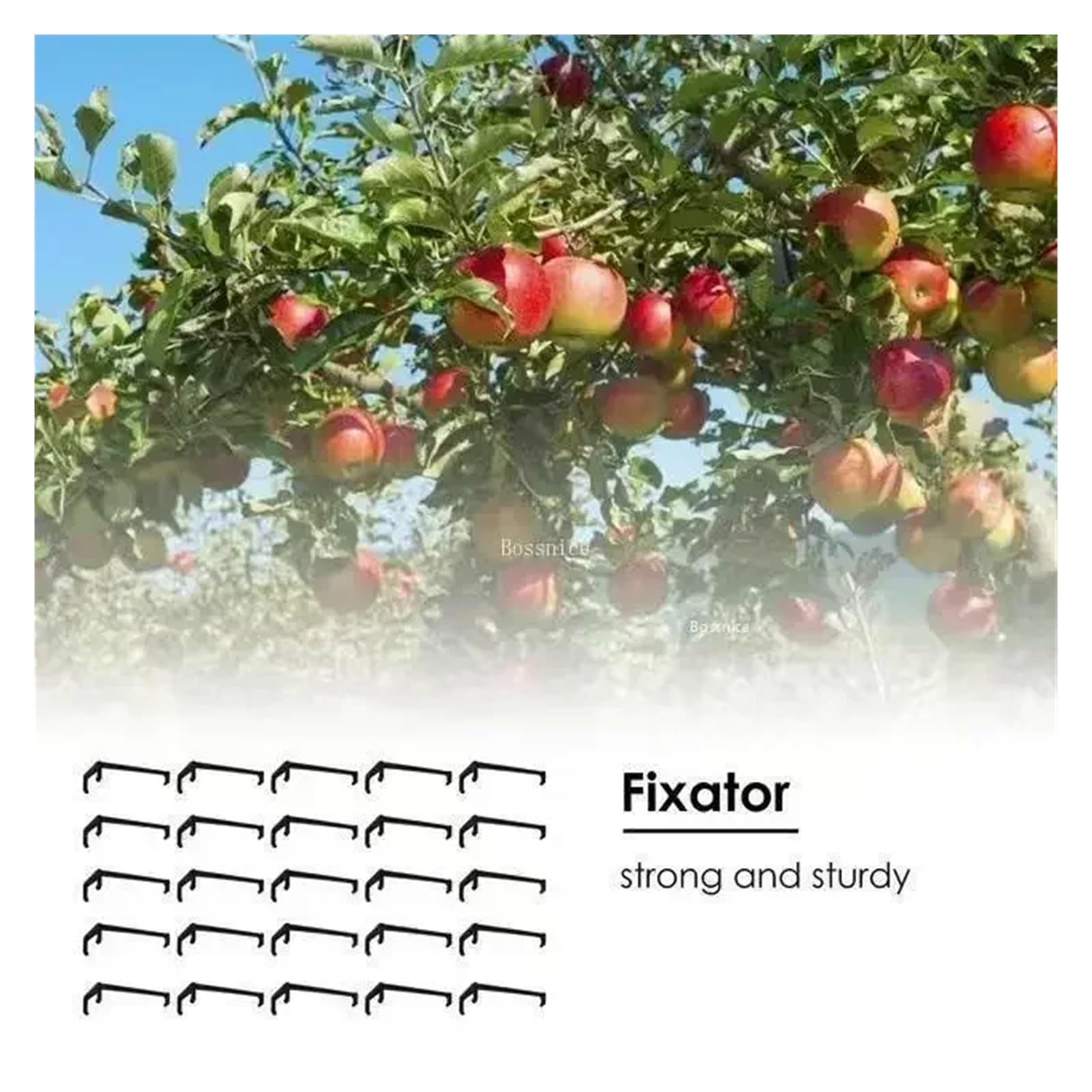 Tutores para Plantas 10-30 Uds Clips de árboles frutales Soporte de Plantas de Enredaderas moldeadores de torsión Extractor de Ramas Herramientas de jardín curvadas de estilismo Giratorio(30Pcs)