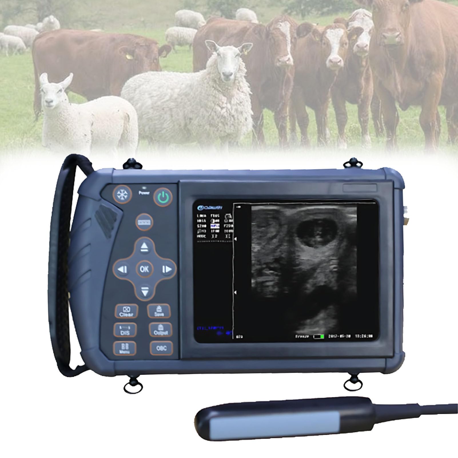 éChographe VéTéRinaire, éChographe VéTéRinaire Portable, avec Sonde 3,5/6,5 MHz pour Porcs, Moutons, ChèVres Et Chiens. H