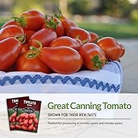 Vista 4 de Semillas de tomate Roma para plantar, variedad de tomate de pasta de reliquia determinada para salsa y enlatado, tomates Roma italianos productivos