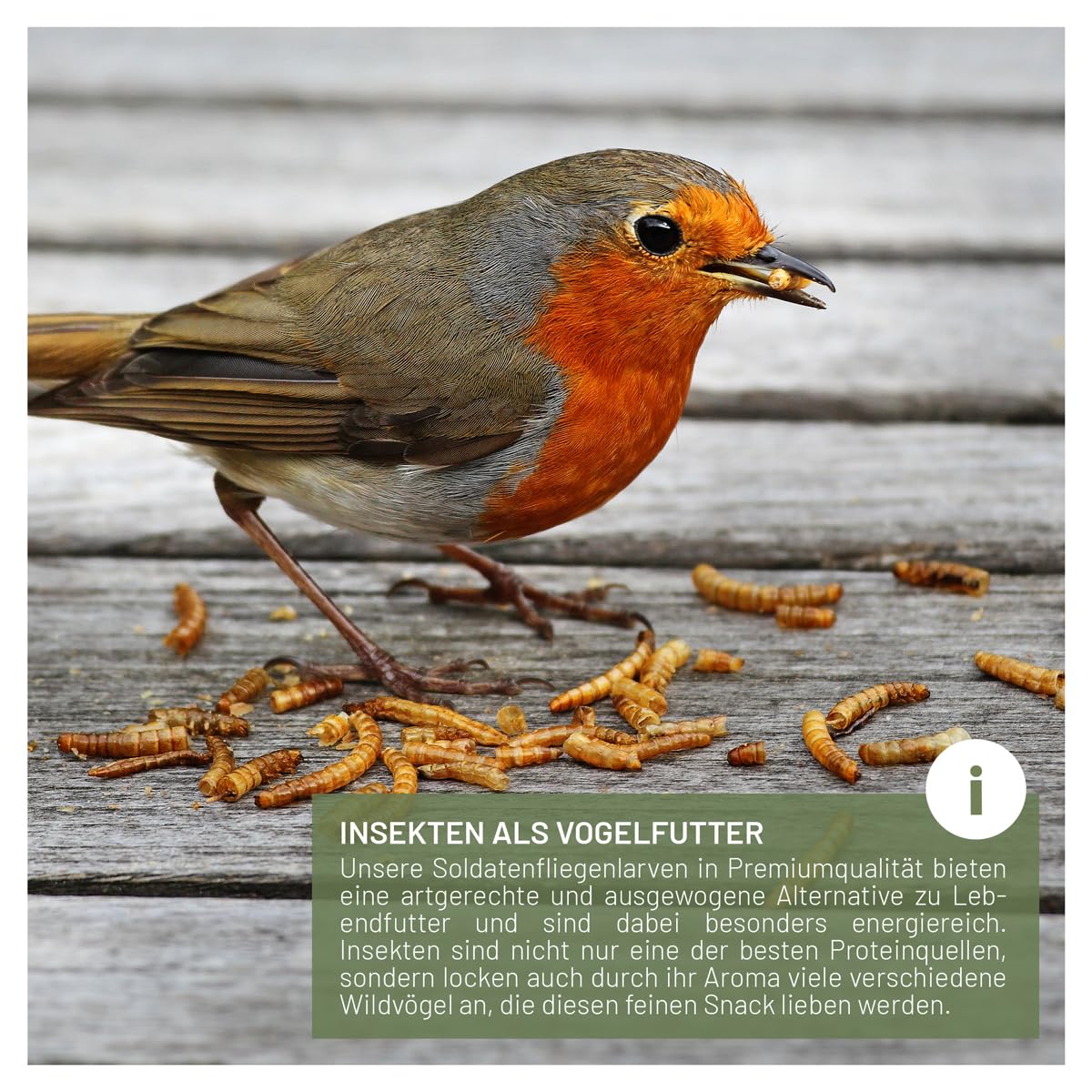 wildtier liebe Larves de mouches soldats séchées 5 l I Larves de mouches soldats séchées pour oiseaux et hérissons I Nourriture riche en protéines pour oiseaux sauvages pour l'alimentation toute