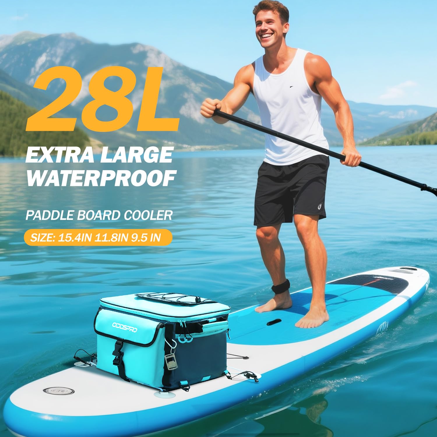 Vitamin Blue 12' by 1