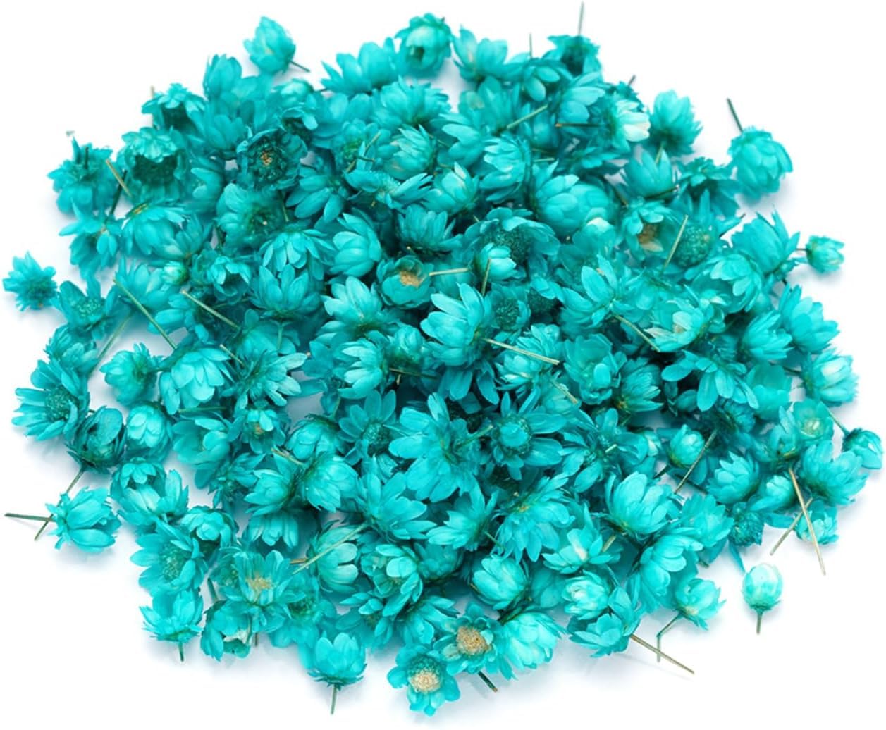 Zarwani 140Pcs Mini Natural Dried Flowers | Dried Little Star Flowers Heads Real Dried Pressed Flowers for Jewelry Candle Card Making DIY Resin Ornaments (Teal Blue)-image-15