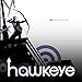 Read Hawkeye (2012-2015) (Issues) (23 Book Series) Doc
