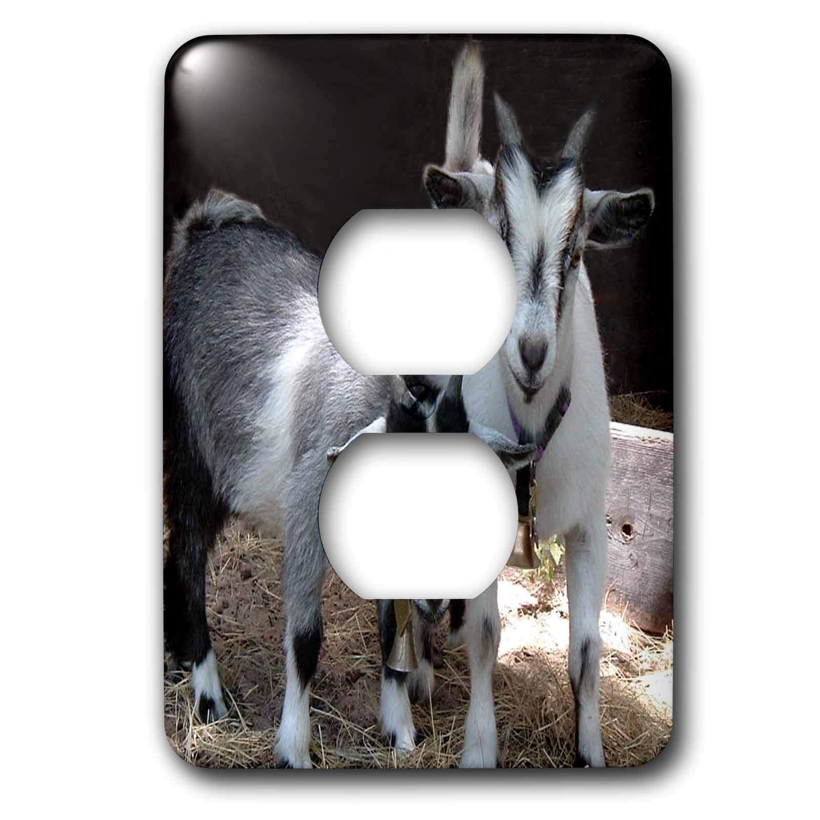Cache prise Pygmy Goat 3dRose lsp_1068_6 2 prises de courant