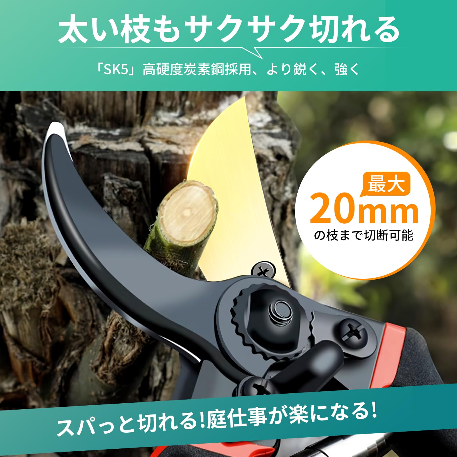 Amazon | Kemolpo 剪定ばさみ 園芸ハサミ【2025人気庭師のプロ厳選