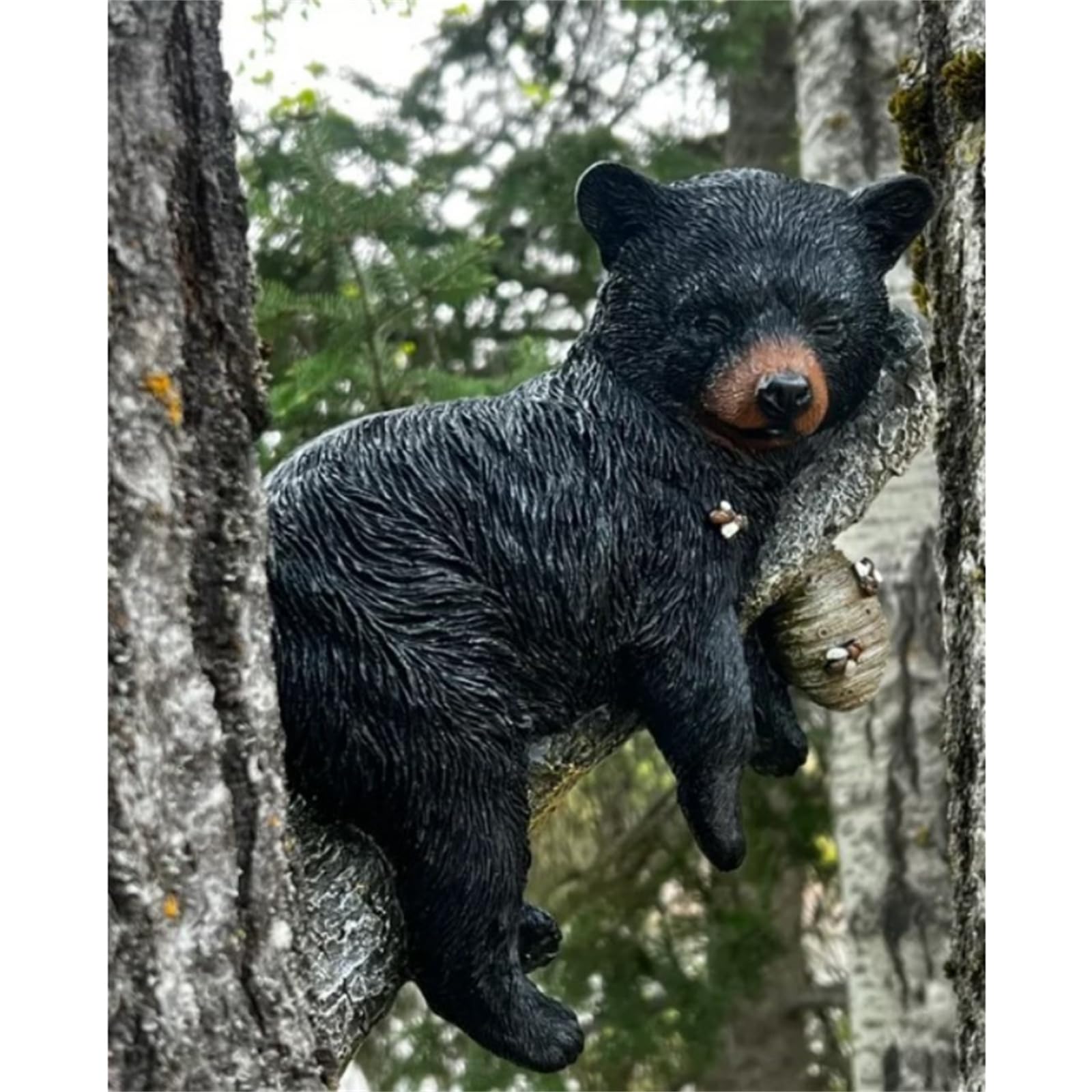 Amazon.co.jp: 木のツキノワグマ像、かわいいツキノワグマの子の置物