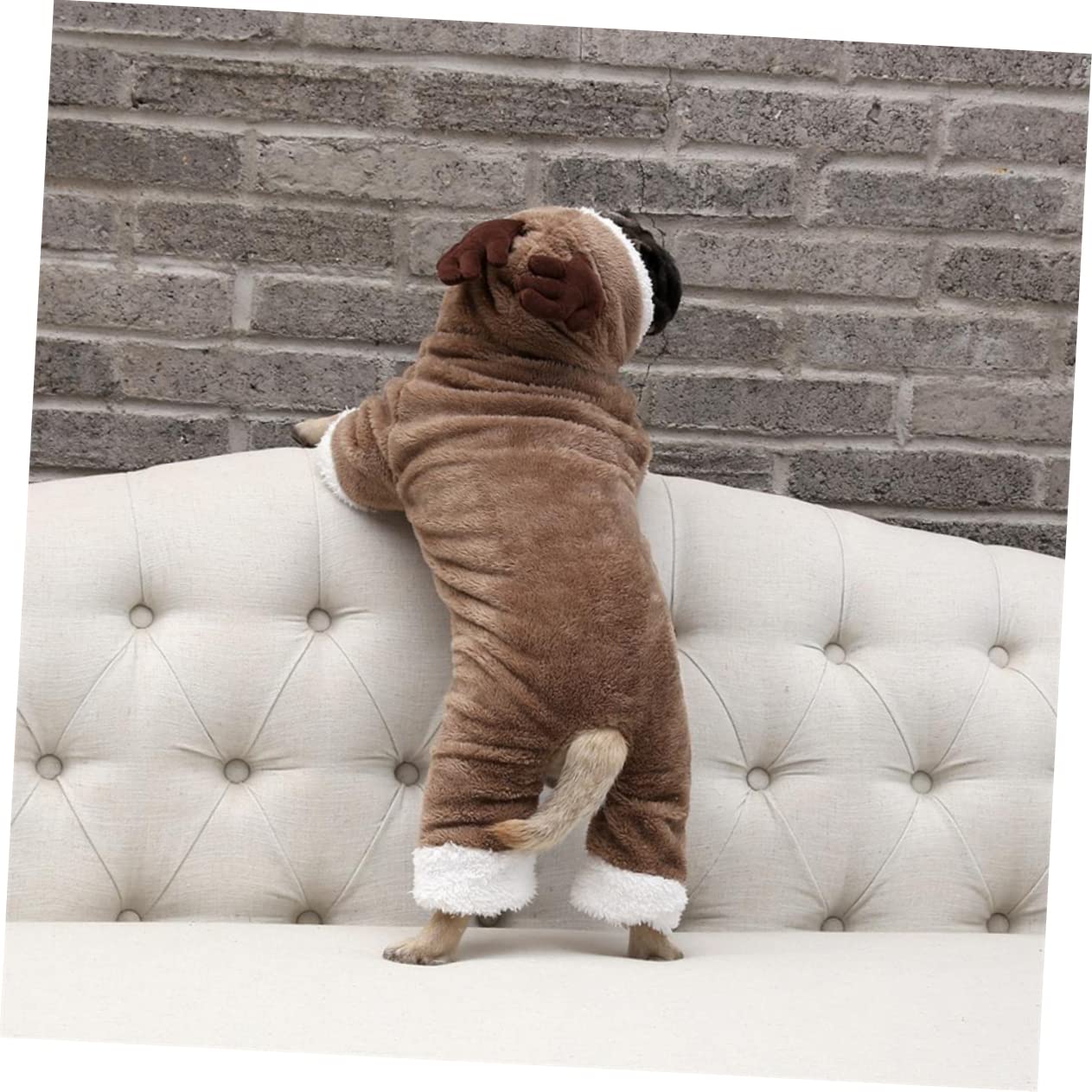 SUPVOX 2 Pz vestiti per cani inverno del cane cucciolo di gattino costume da simpatico cartone animato costume da pirata per cani cappotto invernale felpa invernale