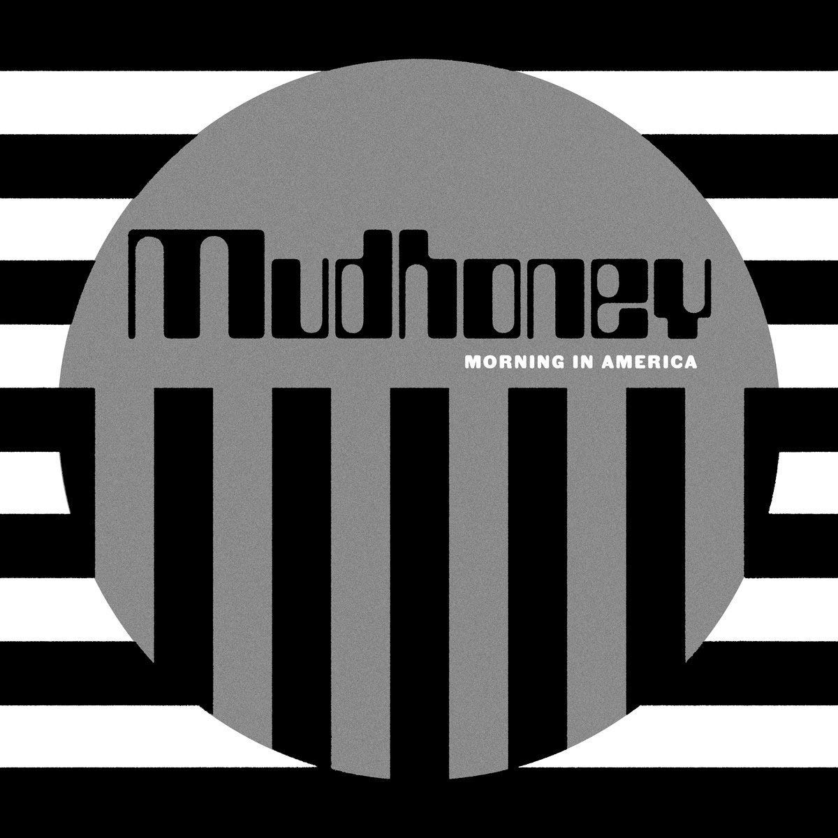Morning In America [VINYL]