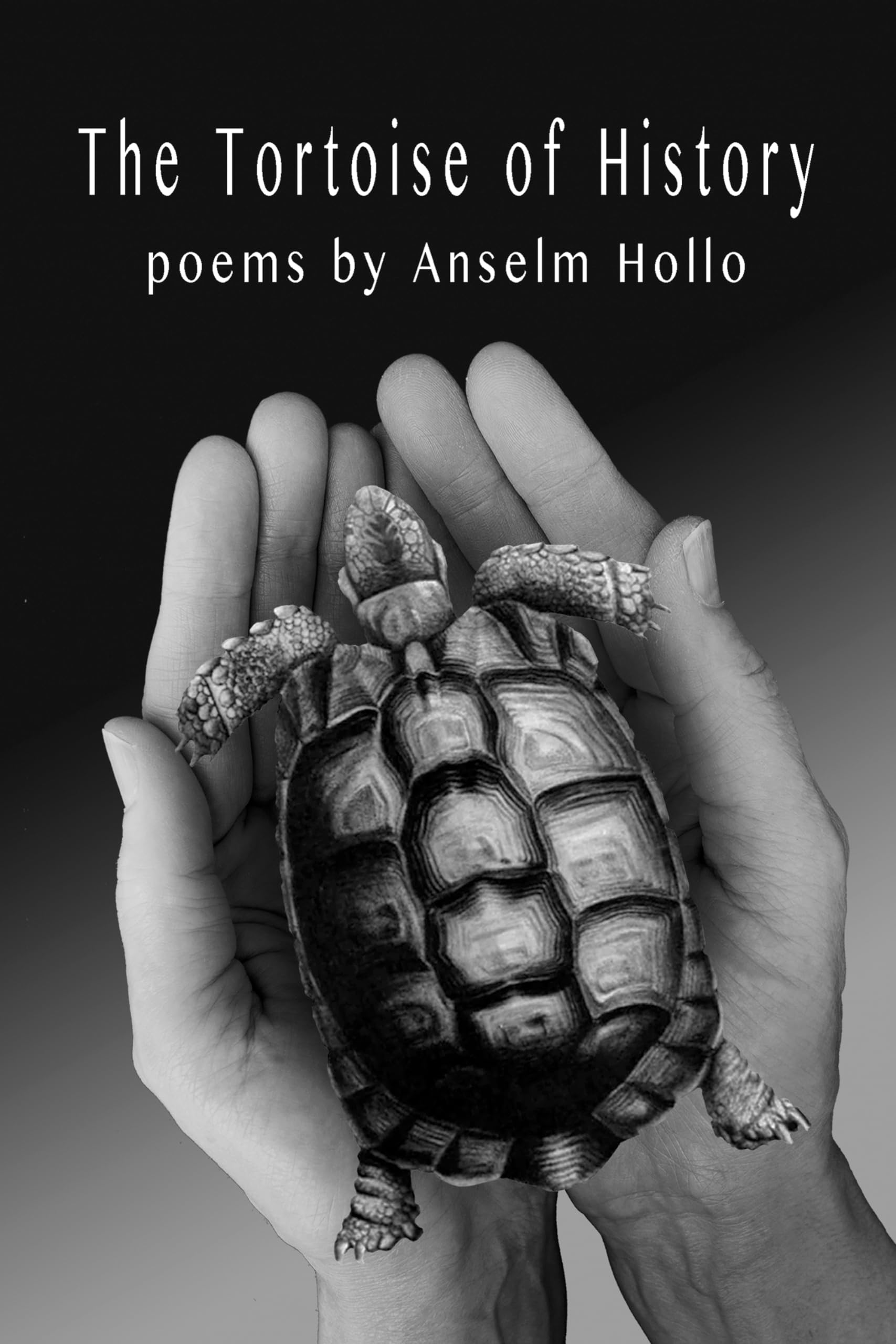 Buy The Tortoise of History — BookShops.in