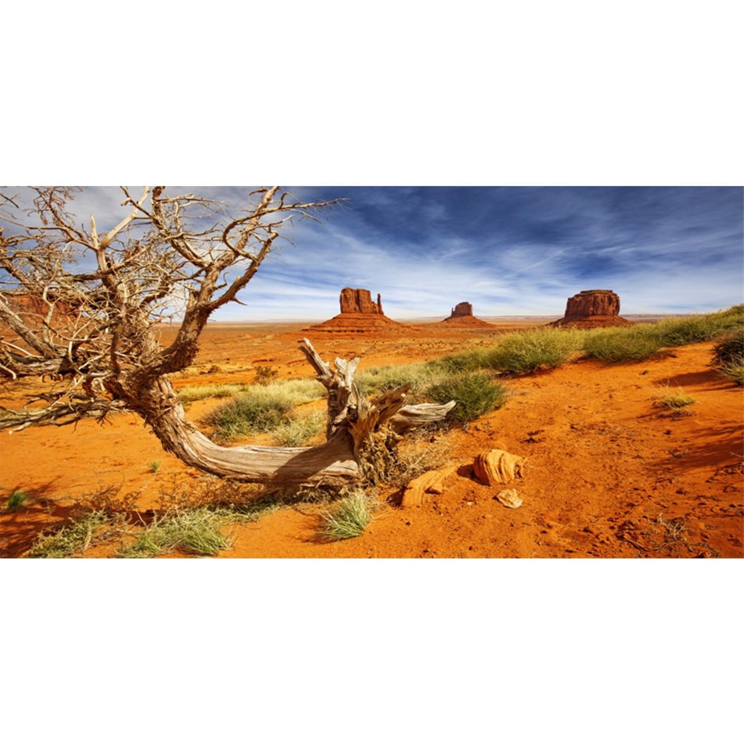 AWERT 72x18 inches Reptile Habitat Background Orange Desert Terrarium Background Durable Polyester Background