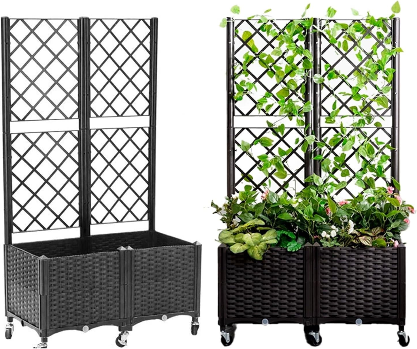 鉢 陶器 手びねり 植物 アガベ パキプス 盆栽 陶器鉢 植木鉢 底穴あり