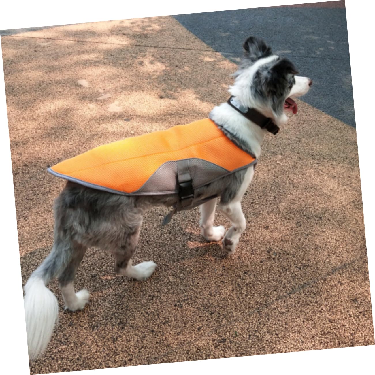 FRCOLOR Gilet Rafraîchissant pour Animaux De Compagnie Confortable Et Respirant Orange Manteau Rafraîchissant pour Chiot Et Chien