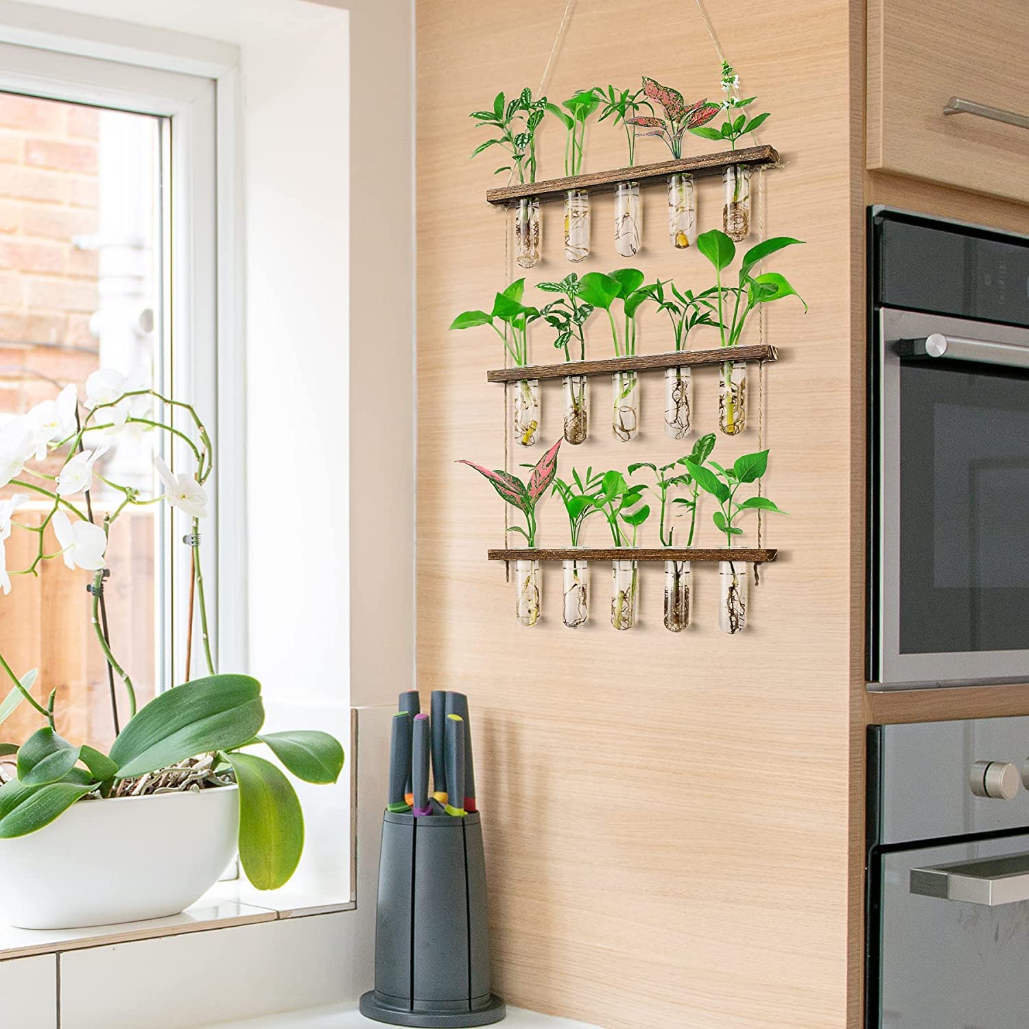 6 Vases En Verre Suspendus Mural - Long Format Tubulaire Transparent - Décoration Jardin, Terrasse, Intérieur - Pour Plantes Ou Déco