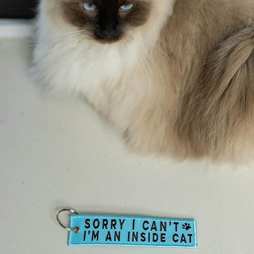 Miniatura 2 de Llavero de gato para llaves de coche, llaves de casa, amantes de mascotas y regalos