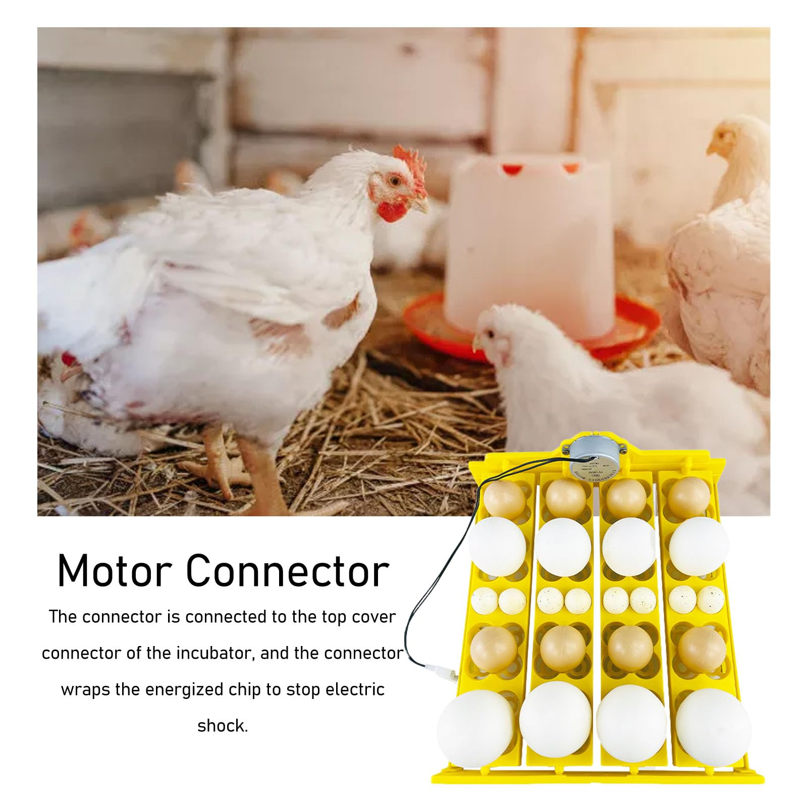 Bandeja de Volteo de Huevos, Bandeja de Incubadora de Huevos con Volteo Automático de Huevos Potente Motor Transpirable Multifunción Mejora la Tasa de Eclosión para 16 Huevos de