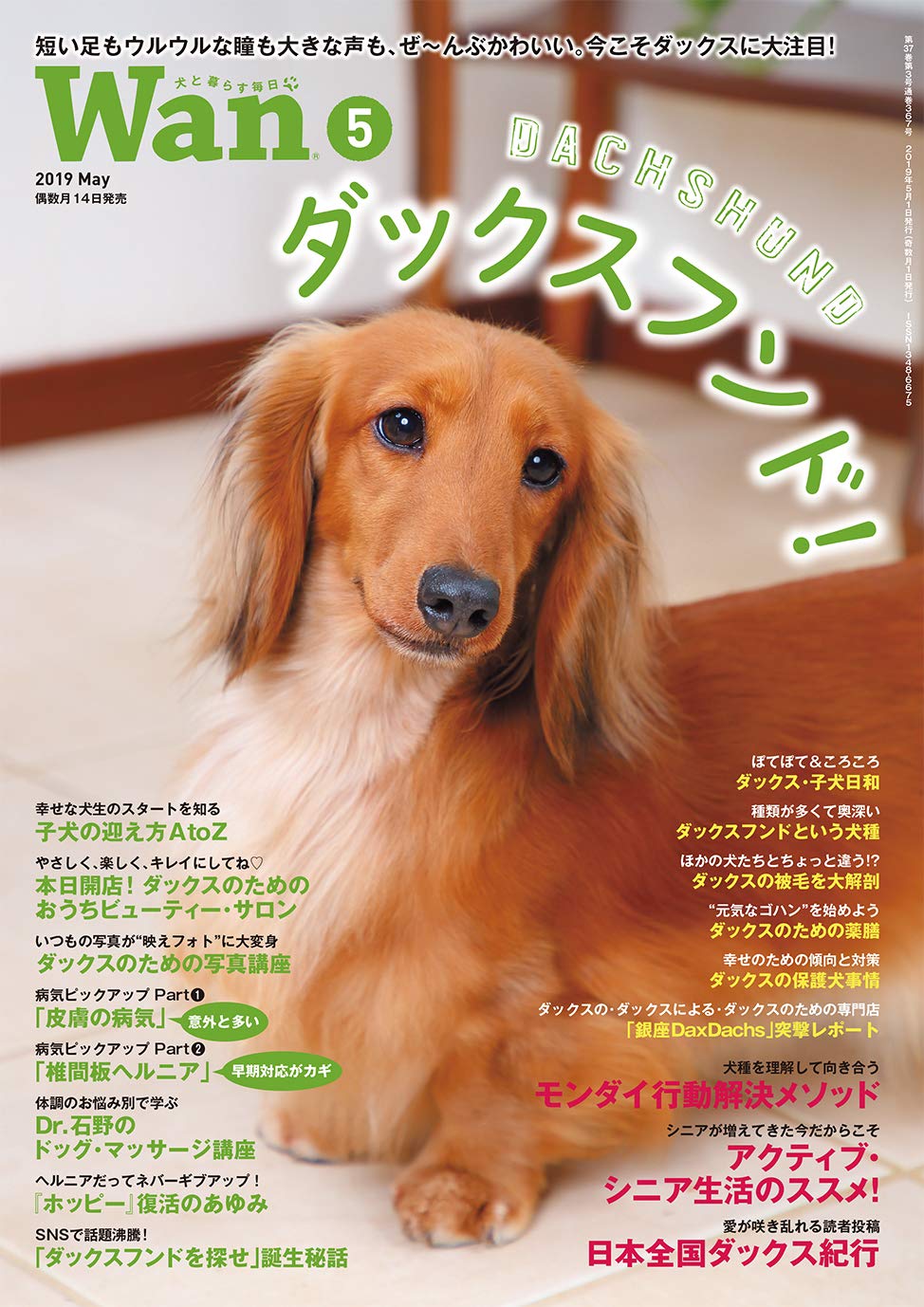 Wan 19年 05月号 雑誌 本 通販 Amazon