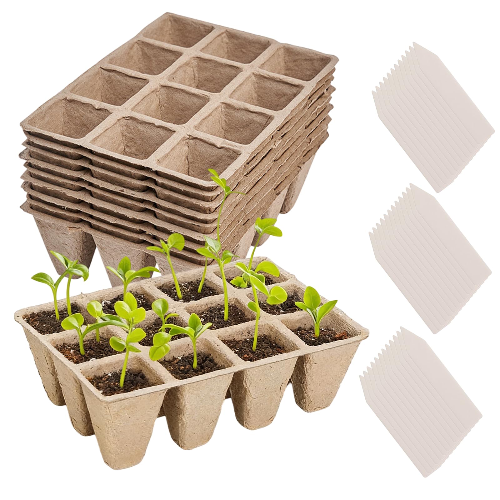 Godets à Semis, Lot de 120 Pots, 10x12 Alvéoles